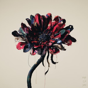 今年も大活躍！Vaundyの人気曲をまとめて