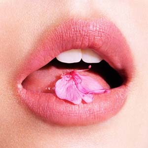 春うた 名曲ベスト