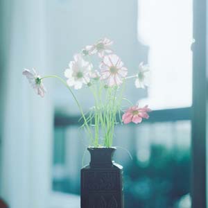 「あったな～」となる“5月のうた”