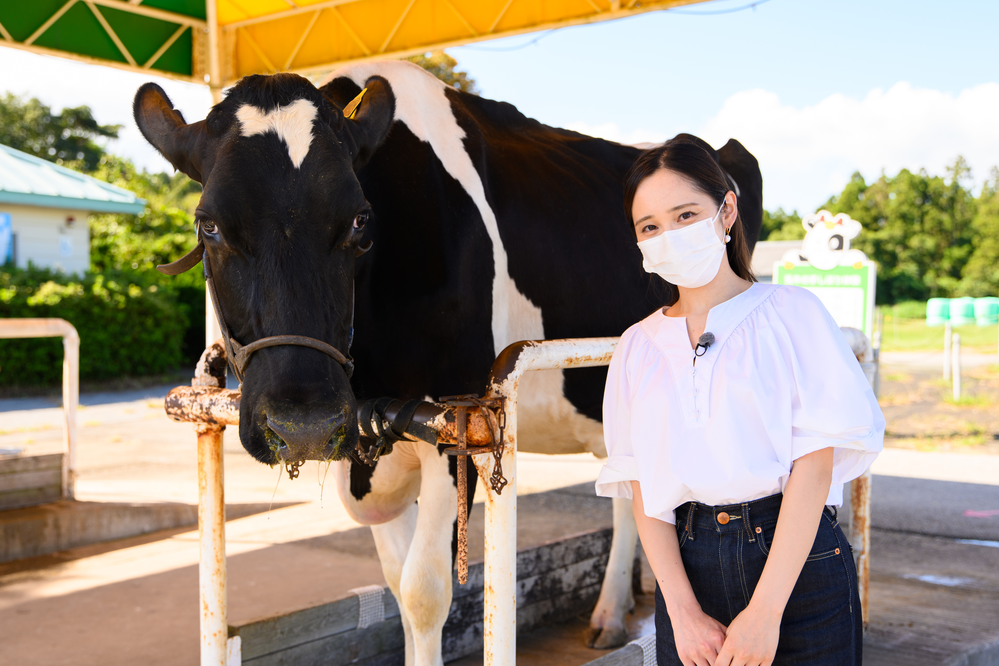 見て・食べて・ふれあって牧場を満喫！