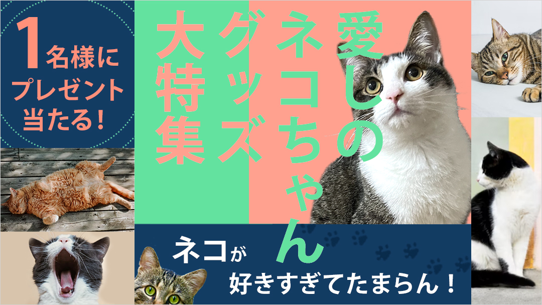 ネコが好きすぎてたまらない！愛しのネコちゃんグッズ大特集