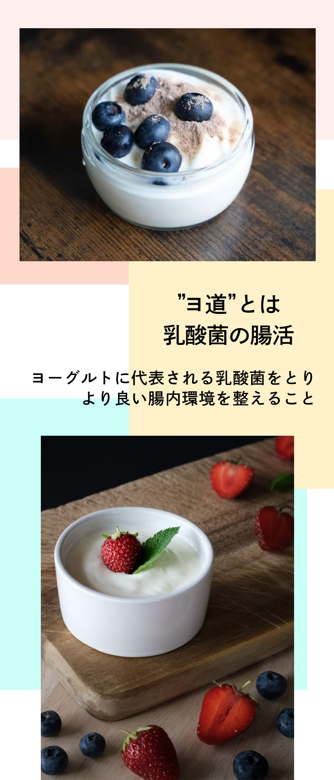 auスマートパスプレミアム編集部 Editor’s Choice 体の中から美しく 特集 ヨ道のすゝめ 腸活と発酵食品