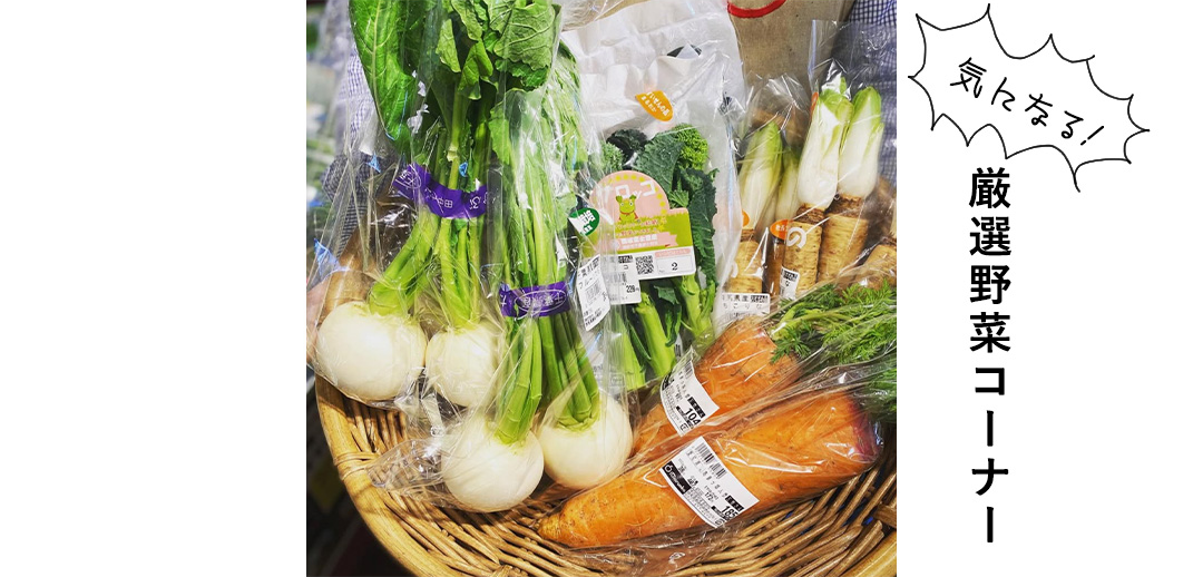 気になる！厳選野菜コーナー