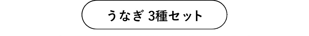 うなぎ 3種セット