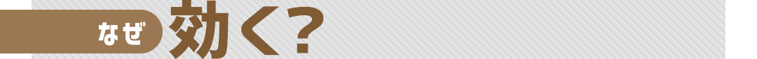 なぜ効く？
