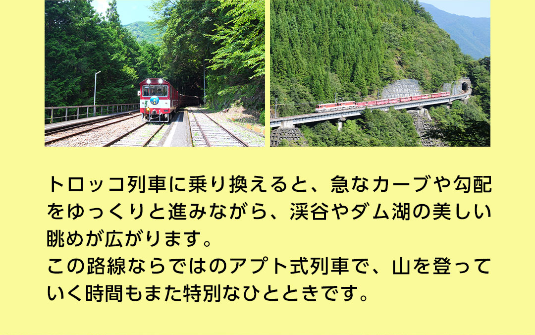 トロッコ列車に乗り換えると、急なカーブや勾配をゆっくりと進みながら、渓谷やダム湖の美しい眺めが広がります。この路線ならではのアプト式列車で、山を登っていく時間もまた特別なひとときです。