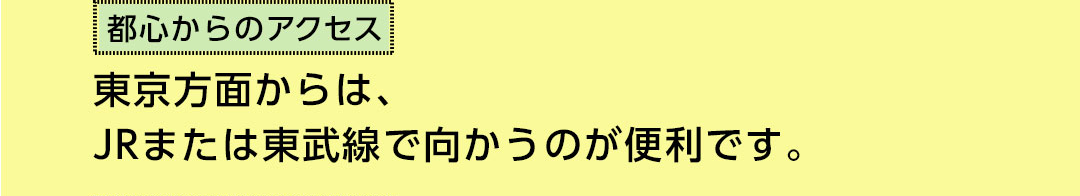 都心からのアクセス 東京方面からは、JRまたは東武線で向かうのが便利です。